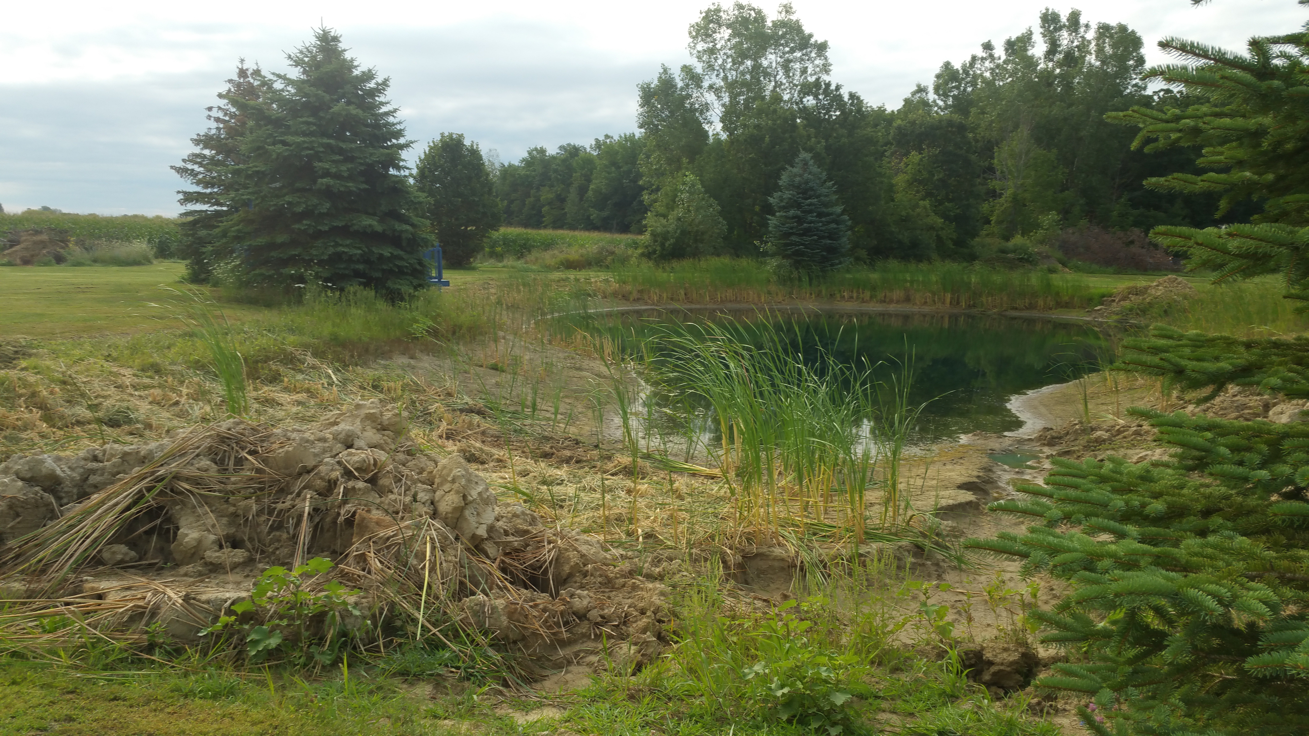 Flushing, Michigan Improve Pond